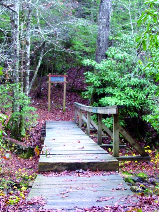 Bridge over creek to hiking trail