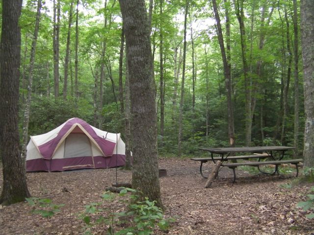 One of our Backwoods tent-sites with the camper's tent all set up and ready to go. The tent is set up near the picnic table in front of a green forest background. 