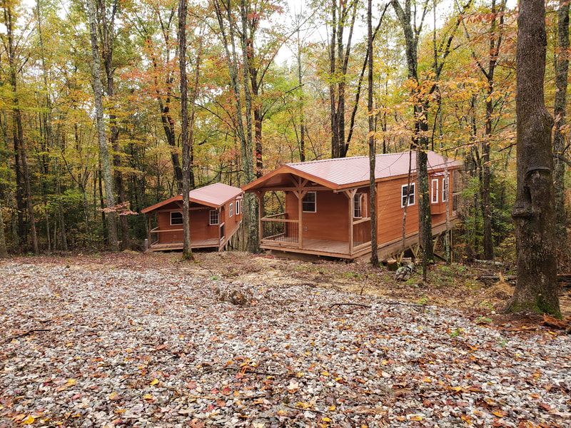 Two resort cabins nestled into the tree line. It is fall and the leaves are covering the ground.