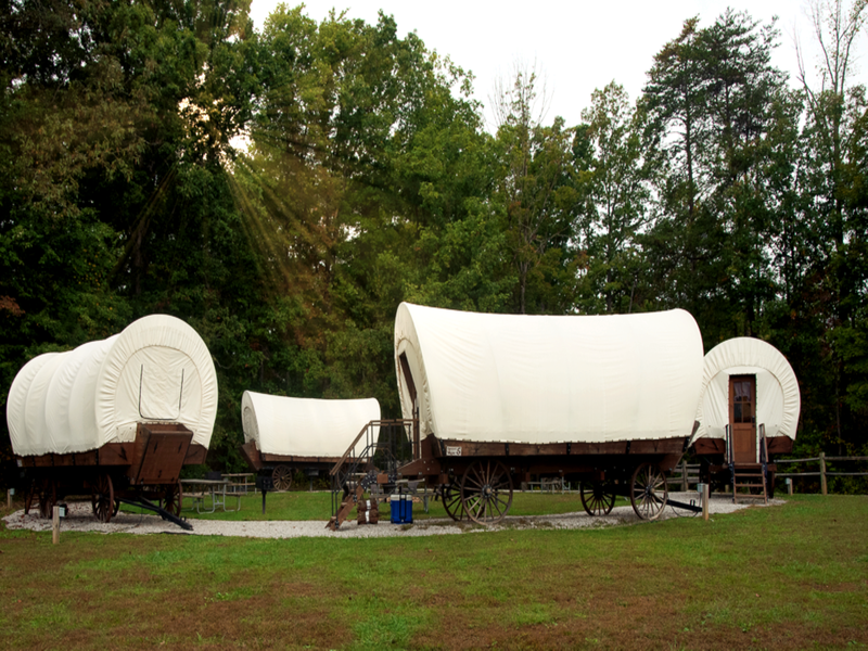 A wagon circle with our 6 Covered Wagons. It is spring time, the sun is shining, and the trees are full of green leaves.