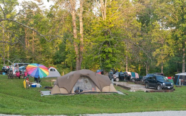 A group of customer tents set up on our water/electric tent sites during the summer season! The beautiful greenery can be seen behind the campsites.